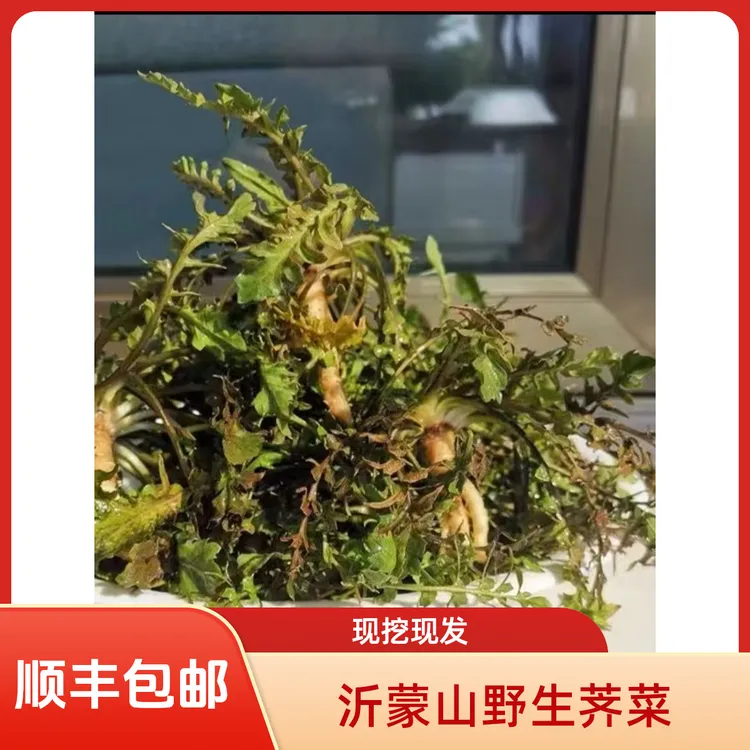 【顺丰包邮】沂蒙山野生荠菜顺丰包邮新鲜到家