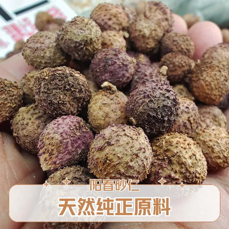 阳春砂仁蜜饯 春砂仁 中药材正宗阳春砂仁养胃 正品中药香料特产
