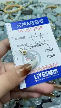 【闪购商品】翡翠颈饰未镶嵌天然A货翡翠