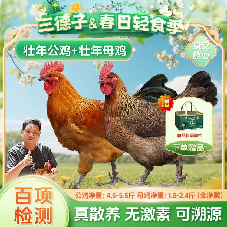 三德子 【壮年公鸡+母鸡】土鸡散养大公鸡母鸡农家中秋送礼 包冰率0商品图