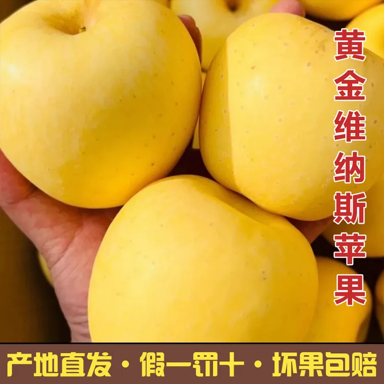 【产地直发】新疆阿克苏黄金维纳斯苹果自然成熟果香怡人
