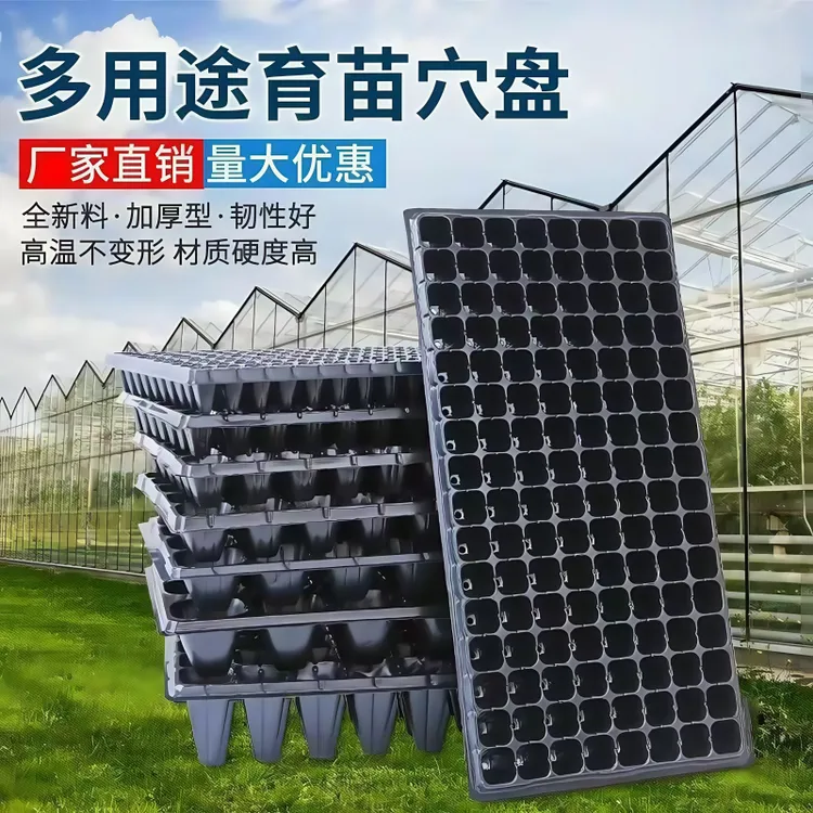 超厚玉米高粱加厚草莓盘 育苗盘穴盘育苗盆 育秧盘辣椒种植盘育苗
