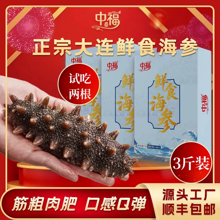 【真鲜食】大连鲜食海参9A级4-6头每斤/3斤到手15个左右高12-16厘米