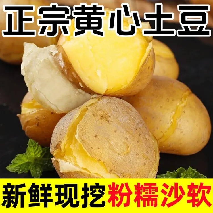 新鲜现挖黄皮黄心土豆沙面细腻粉糯营养美味