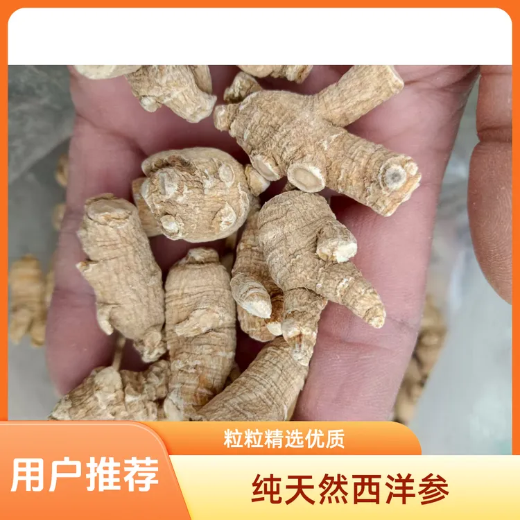 人工挑选道地高品质西洋参药食同源味甘个头饱满
