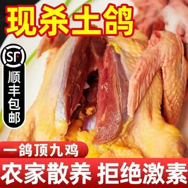 【3年以上老鸽子】煲汤好食材鸽子现杀新鲜顺丰包邮鸽子肉顺丰包送