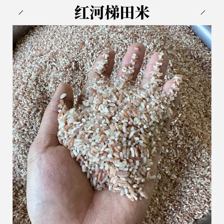 云南红河哈尼梯田红米 紫米 白米