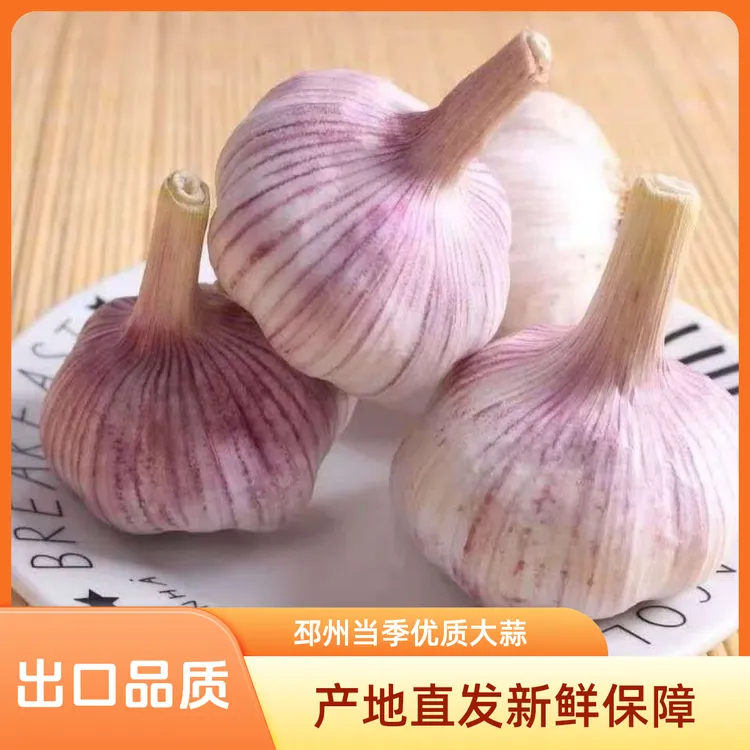 【农家土大蒜】干大蒜产地直发大蒜头干蒜5斤3斤紫白皮大蒜新干蒜头