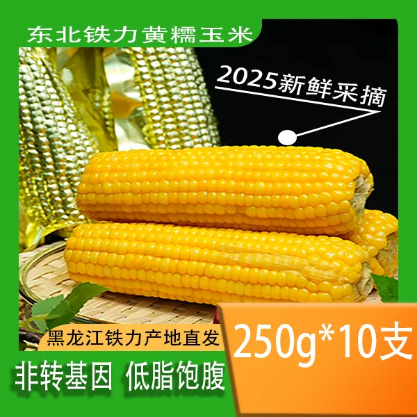 2025年小兴安岭铁力新摘黄糯玉米 铝箔包装250g*10根（试吃一根）