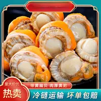 【小明正能量专属】鲜捕头鲜剥扇贝肉 鲜甜味美 新鲜无沙无冰 150g