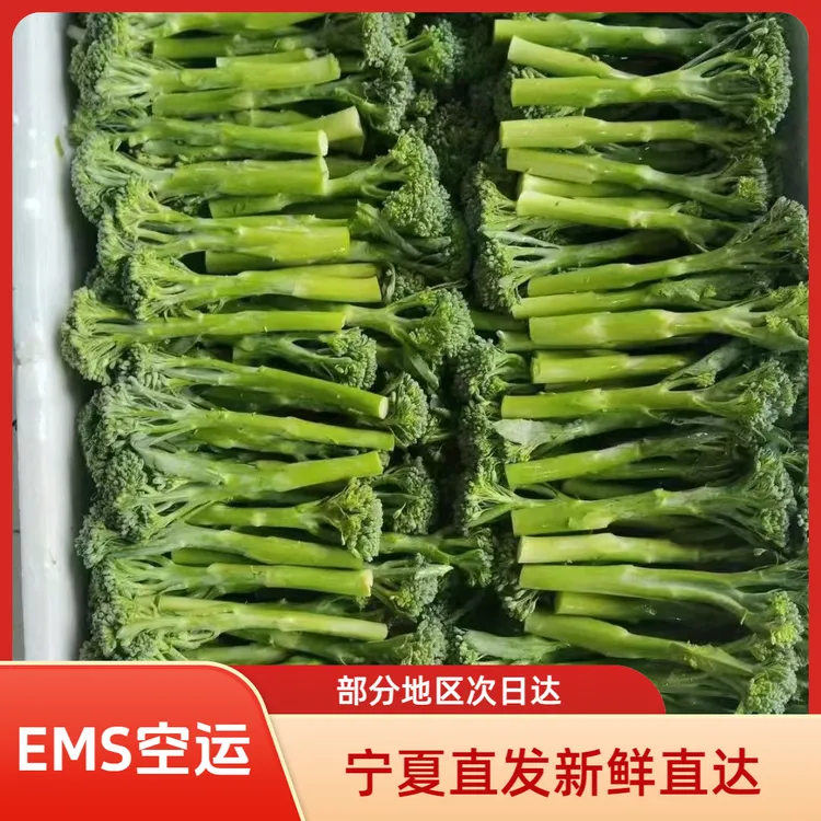 顺丰/EMS空运宁夏甜杆迷你西兰苔新鲜苔西兰花食用西兰花苔西蓝苔
