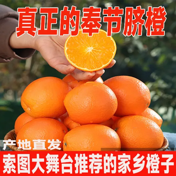 【索图推荐】正宗奉节脐橙应季水果橙子现摘现发索图大舞台家乡推荐