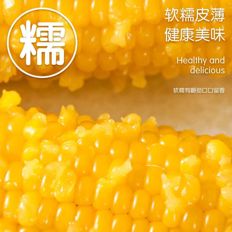 十支黄箱大棒玉米