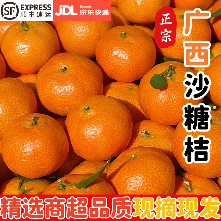 【顺丰/京东】广西沙糖桔砂糖橘 新鲜现摘 细腻化渣 坏果包赔
