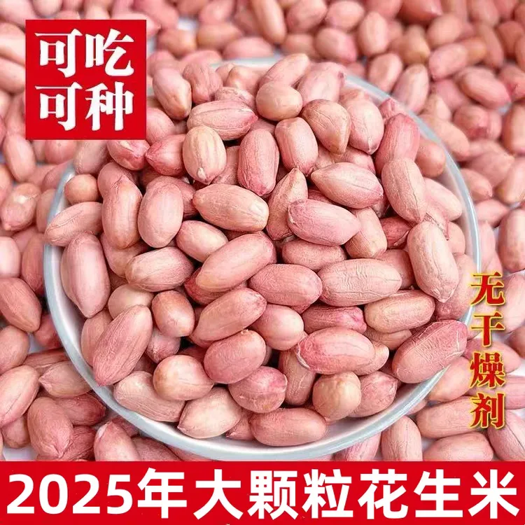 2025年大粒花生米新货花生仁新鲜大颗粒河南农家特级干花生米散装