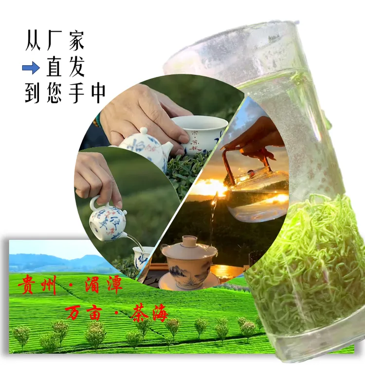 浓香茶栗香毛尖新茶高档绿茶口粮茶嫩芽嫩叶手工采摘精选绿茶散装