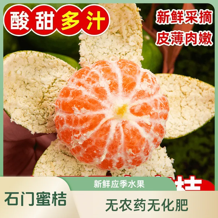 【中秋送礼】【普通快递】【石门秀坪蜜橘】现摘现发无籽青皮5/10斤