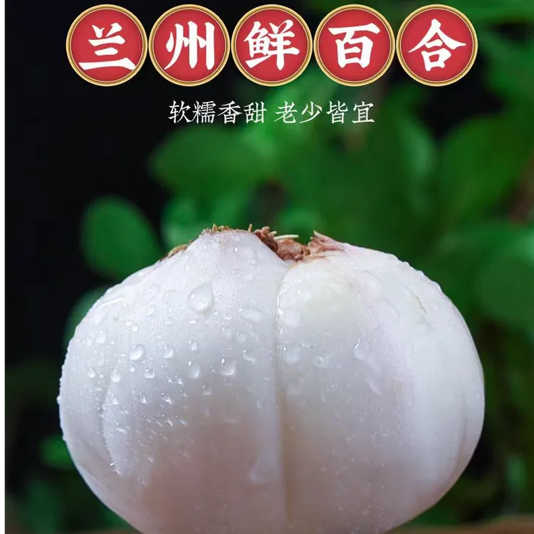 兰州新鲜甜百合食用肉厚香甜非干货甘肃特产