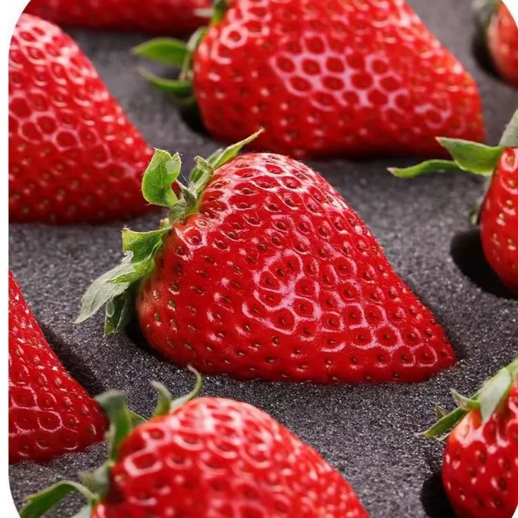九九草莓  现摘现发  顺丰发货