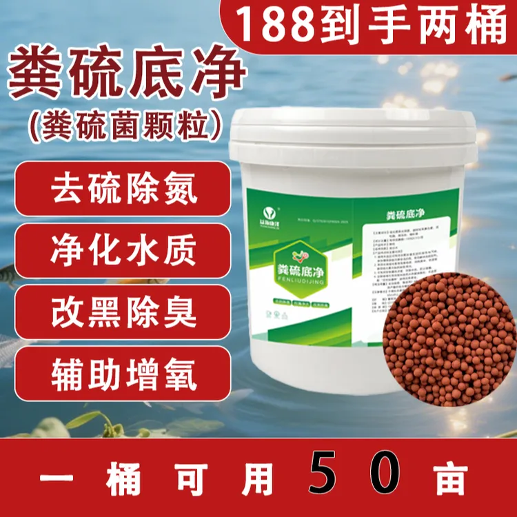 粪硫底净水产养殖粪硫菌鱼塘净水改底改黑除臭硫化氢氧化细菌