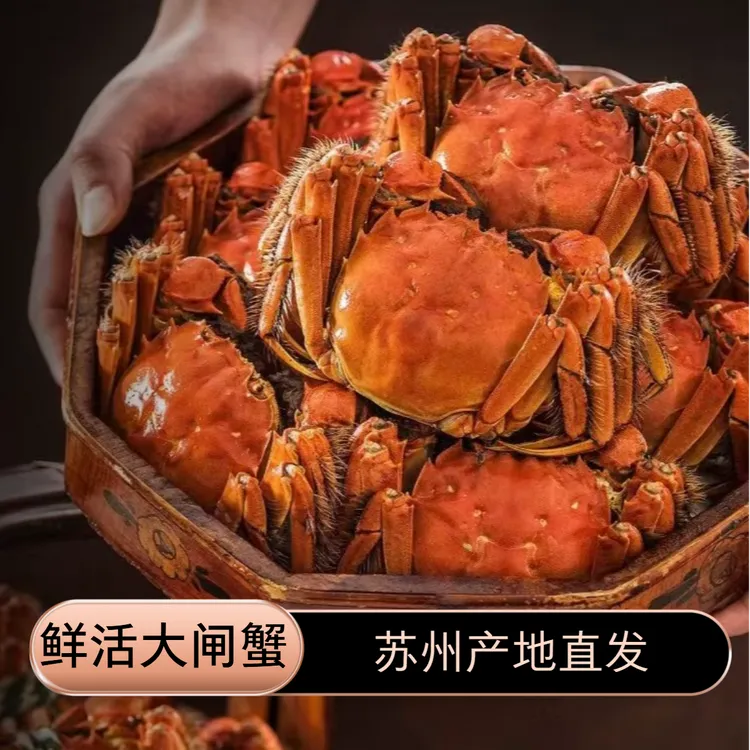 【活蟹】苏州大闸蟹活蟹现发4两母5两公8只装精品礼盒