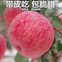 【今年新果】正宗陕西洛川高原红富士苹果新鲜苹果脆甜可口5-10斤