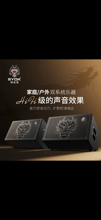 （SYOK神龙S10对箱户外大功率K歌直播弹唱一体机