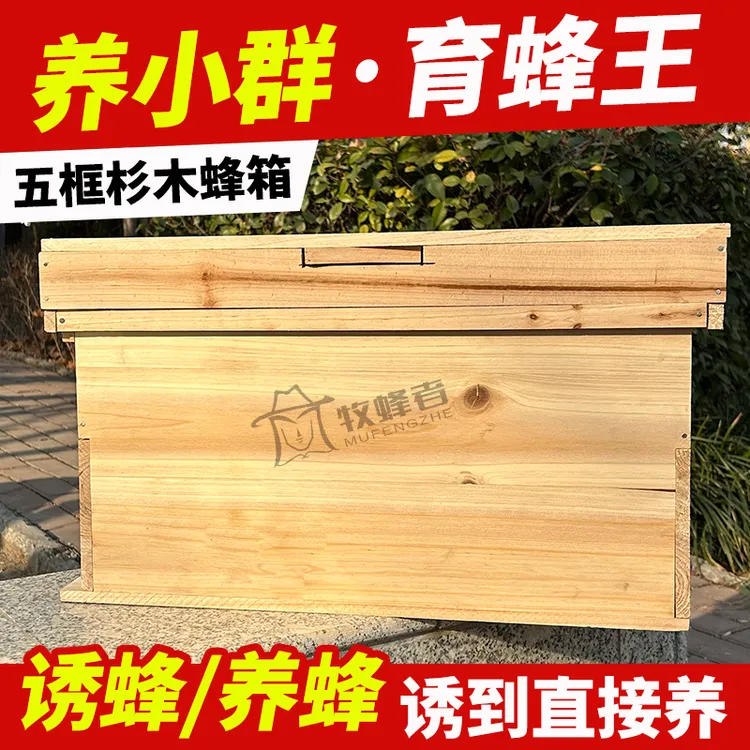 五框中蜂育王箱野外授粉诱蜂箱广式杉木蜜蜂蜂桶土蜂中蜂箱全套