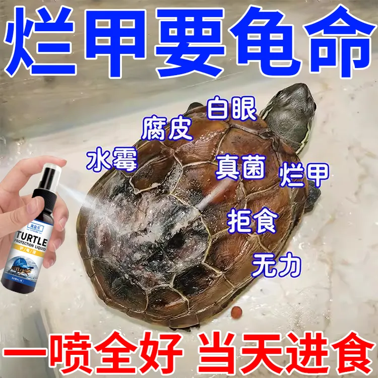 【严重龟腐甲】乌龟巴西龟腐皮咬伤白眼红肿烂甲烂身爬宠专用护龟液