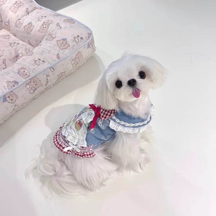 蓝色牛仔大眼弟弟