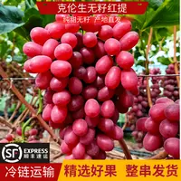 【蛋花儿】四川大凉山克伦生无籽红提新鲜现摘当季水果硬脆甜多汁