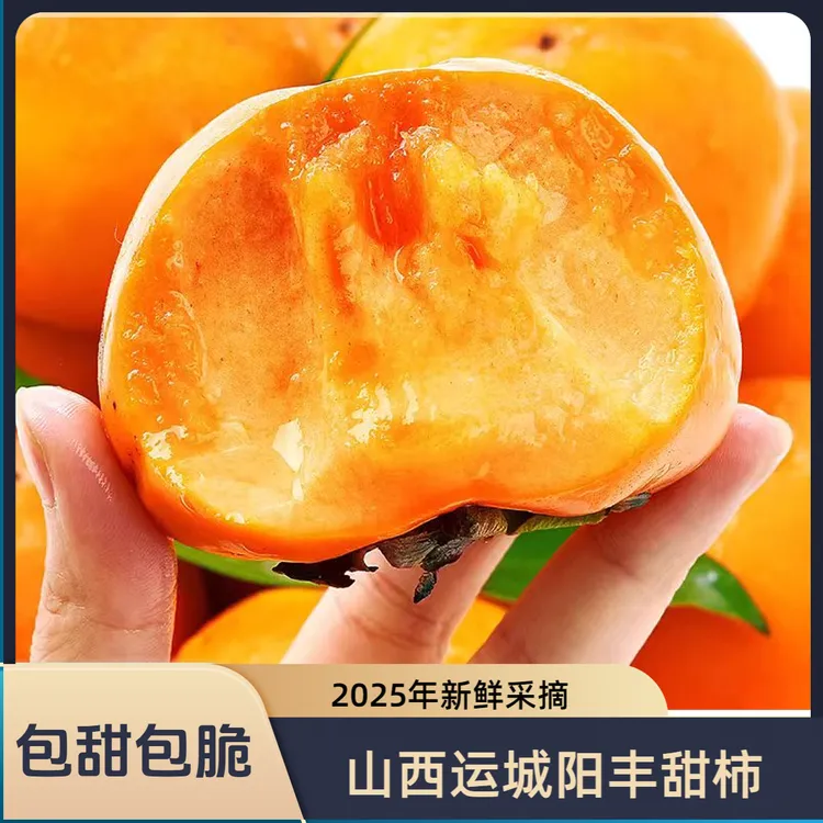 山西冰糖心巧克力脆柿子运城阳丰甜柿应季新鲜水果脆甜柿现摘现发