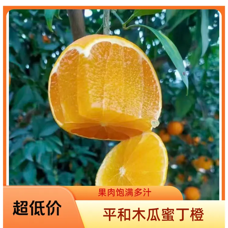 福建漳州平和正宗木瓜蜜丁橙新鲜水果当季包邮发货