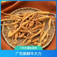 新鲜去皮十年老身牛大力粉质薯煲汤泡酒料规格