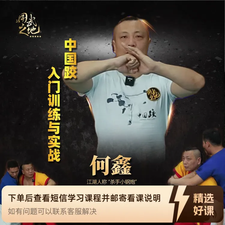 中国跤入门训练与实战【视频课程，非实物】（留意短信解锁课程）