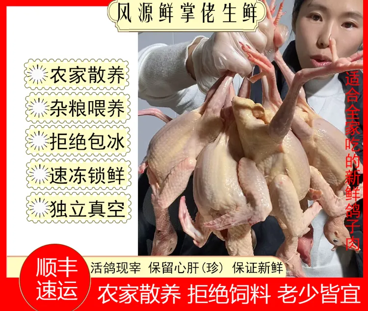 凤源农家 杂粮 少年鸽 鸽子肉 现宰现发