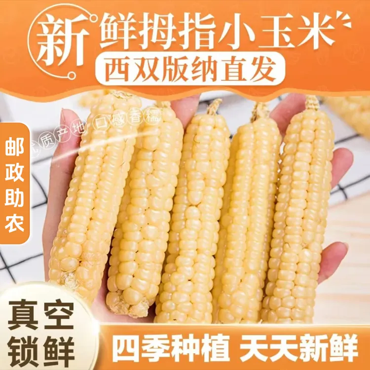 【邮政助农】西双版纳拇指玉米白糯鲜嫩当季新玉米儿童蔬菜粗粮