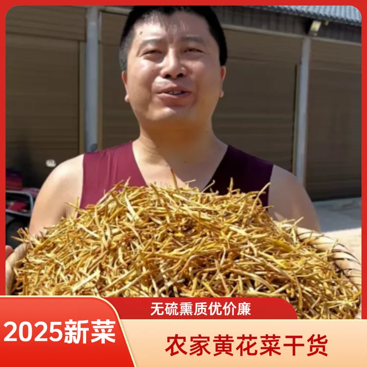 农家日晒黄花菜干货无硫熏本色金针菜凉拌菜干货食材煲汤9成干
