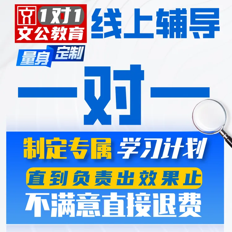 在线1对1辅导，专属定制方案，精准学，查缺补漏 ，快速提升！