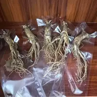 长白山优选鲜人参50g/5根