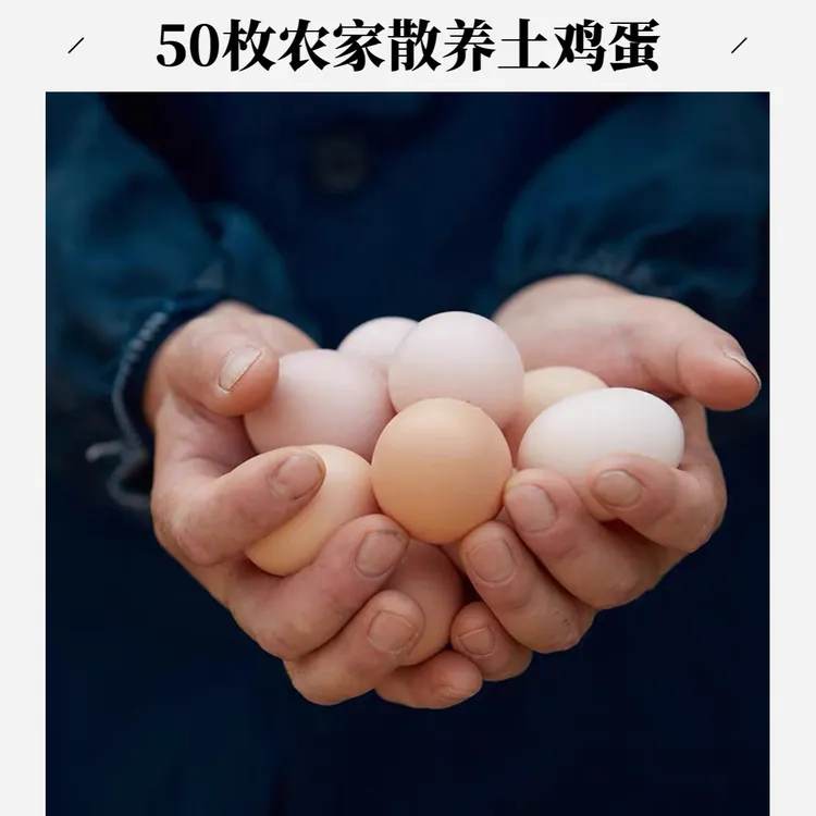[精品大蛋]50枚精品土鸡蛋散养现捡现发破损包赔4.5斤以上DY