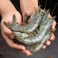 【小鱼儿】20-30规格大虾 排盘单冻 3斤/盒*1盒 13只左右/斤 鲜甜