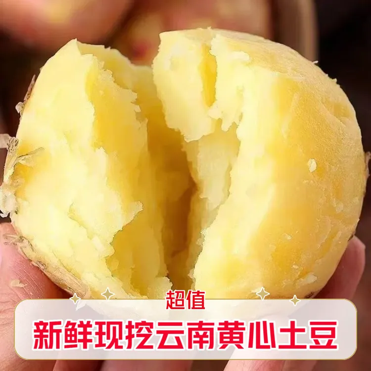 云南黄皮土豆马铃薯洋芋地蛋现挖现发土豆丝烤洋芋土豆薯条土豆丝