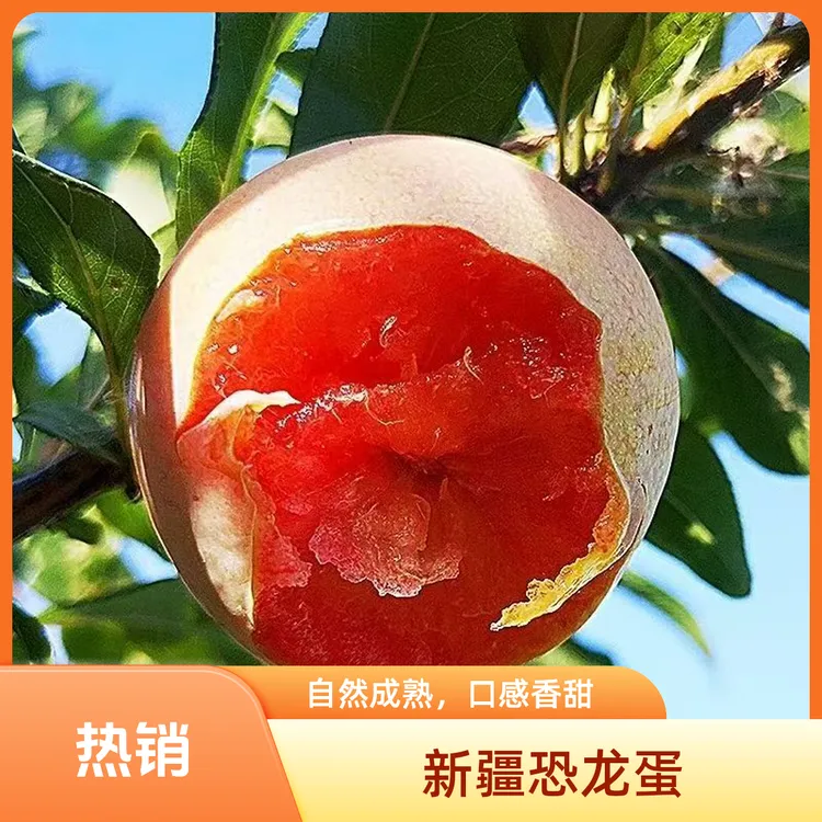 （顺丰空运）新疆喀什恐龙蛋孕妇老人小孩适用酸甜可口美国品种