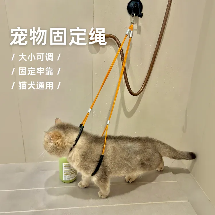 宠物洗澡固定器猫咪防挣脱固定绳狗狗美容台吊绳家用猫保定绳吸盘