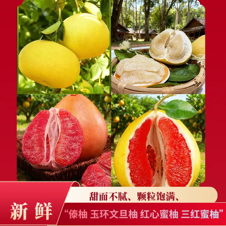 傣柚 玉环文旦柚  红心蜜柚 三红蜜柚 孕妇水果特产果园直发新鲜