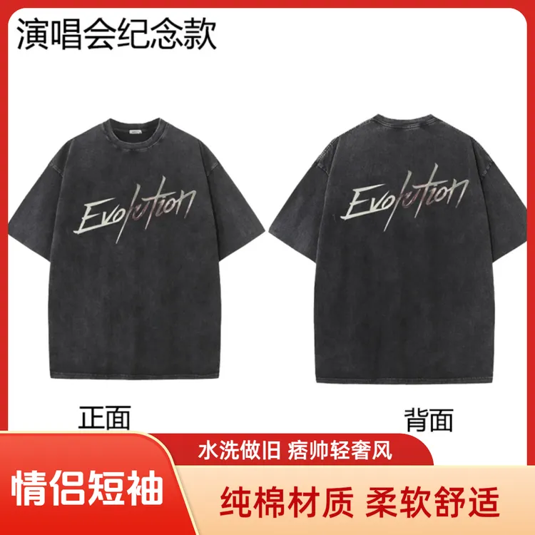 谢霆锋2025演唱会同款短袖T恤水洗做旧重磅纯棉男女宽松衣服痞帅