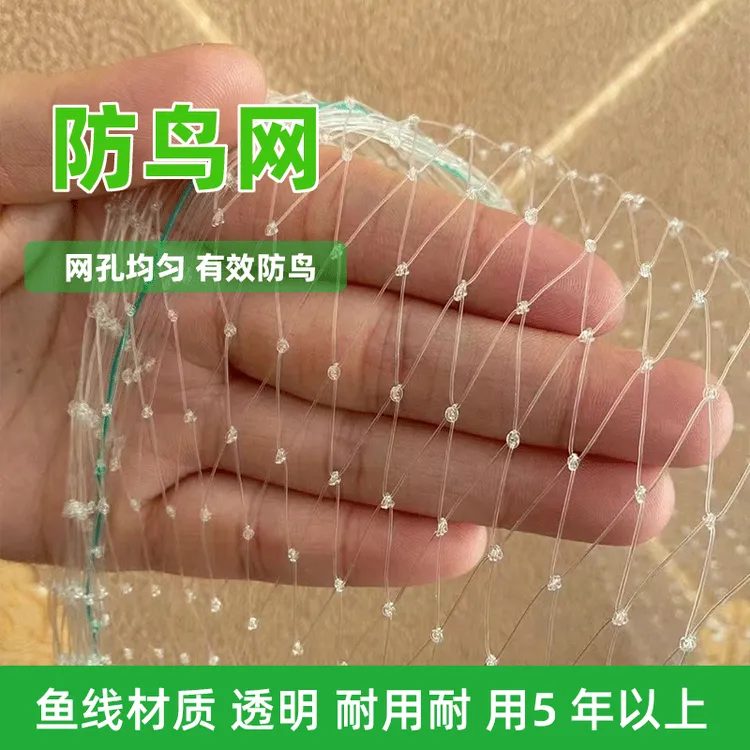 尼龙防鸟网果树果园大棚防护网樱桃树葡萄树鱼塘养殖阳台防鸟神器