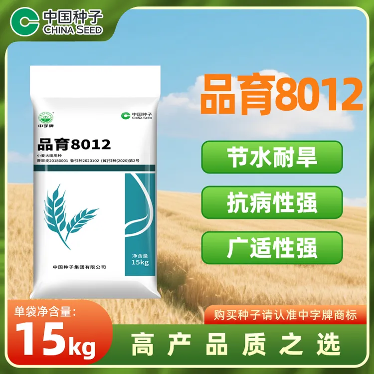 中国种子品育8012小麦种15kg/袋 优质高产千粒重高抗倒好