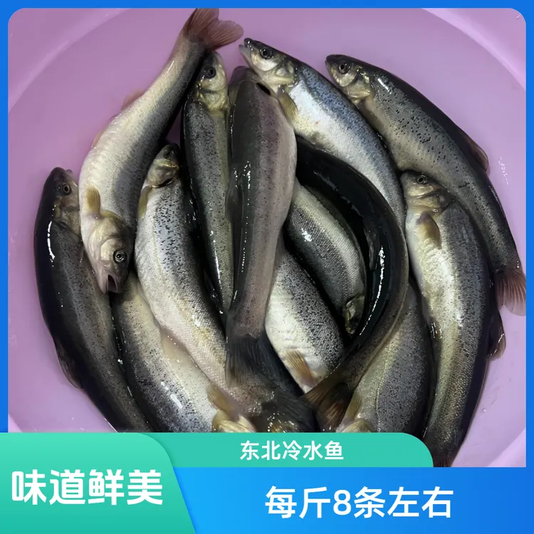 东北冷水柳根鱼每斤8条左右(空运包邮）